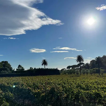 La Holiday home Cavalaire-sur-Mer